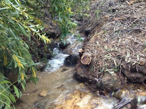 The place where the two rivers meet