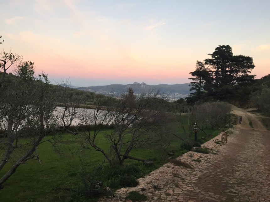 The start of the Dawn Run