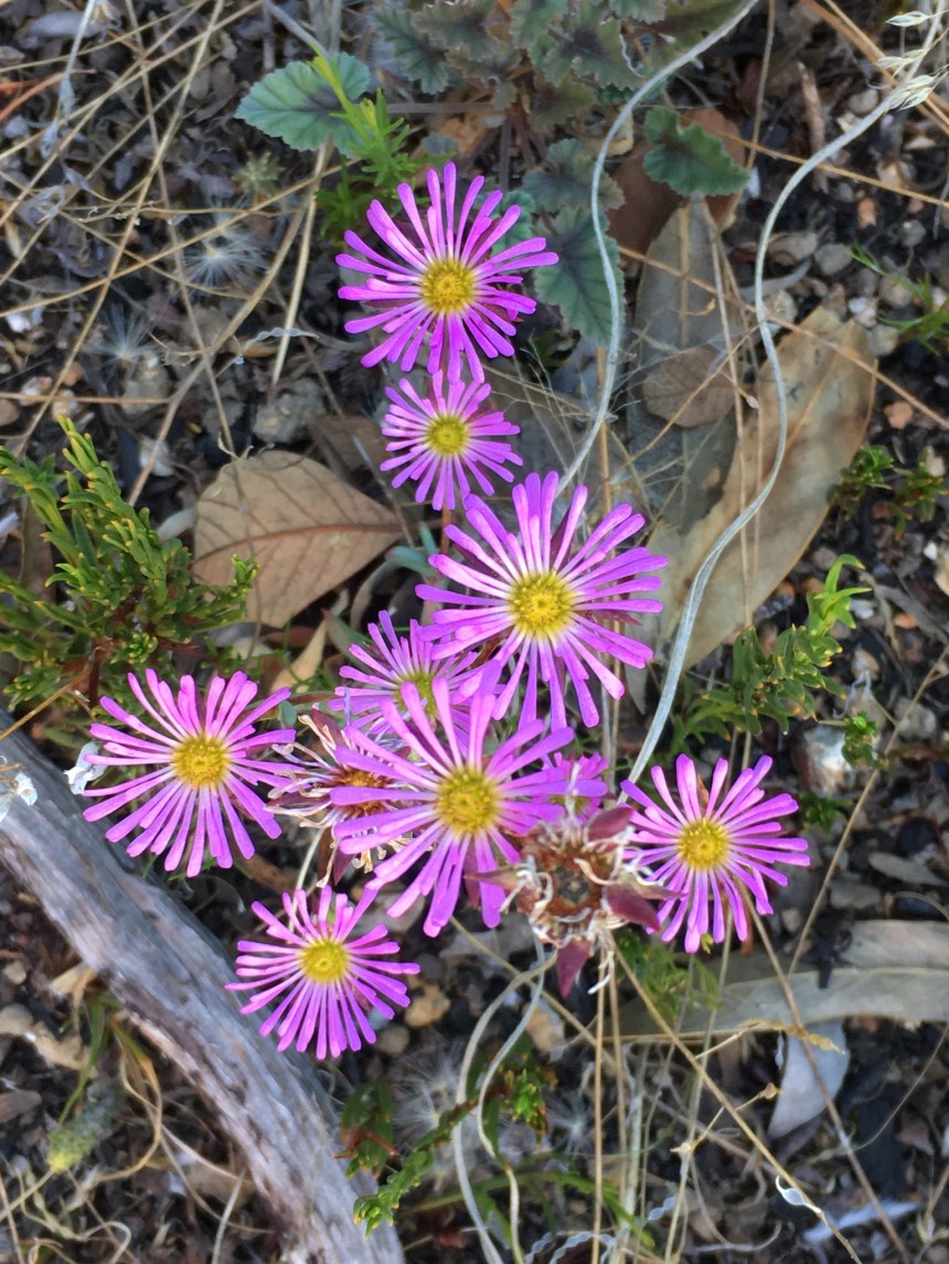 96FF495B-B5EC-4474-BAA0-C4393C69F5C0