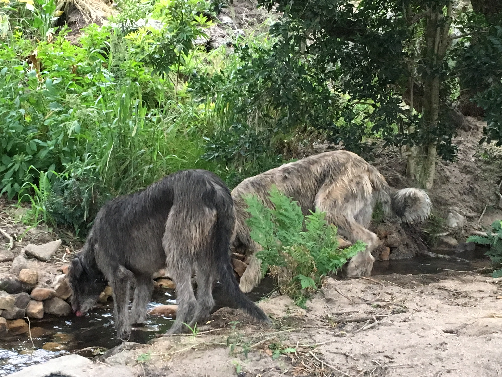 E823087D-1024-41CE-80DC-F76E8444147A