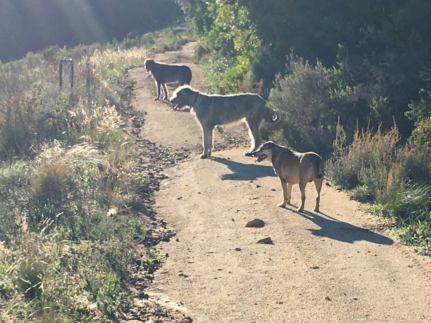 85450A28-1881-49D6-AF23-2B28DDE8587D