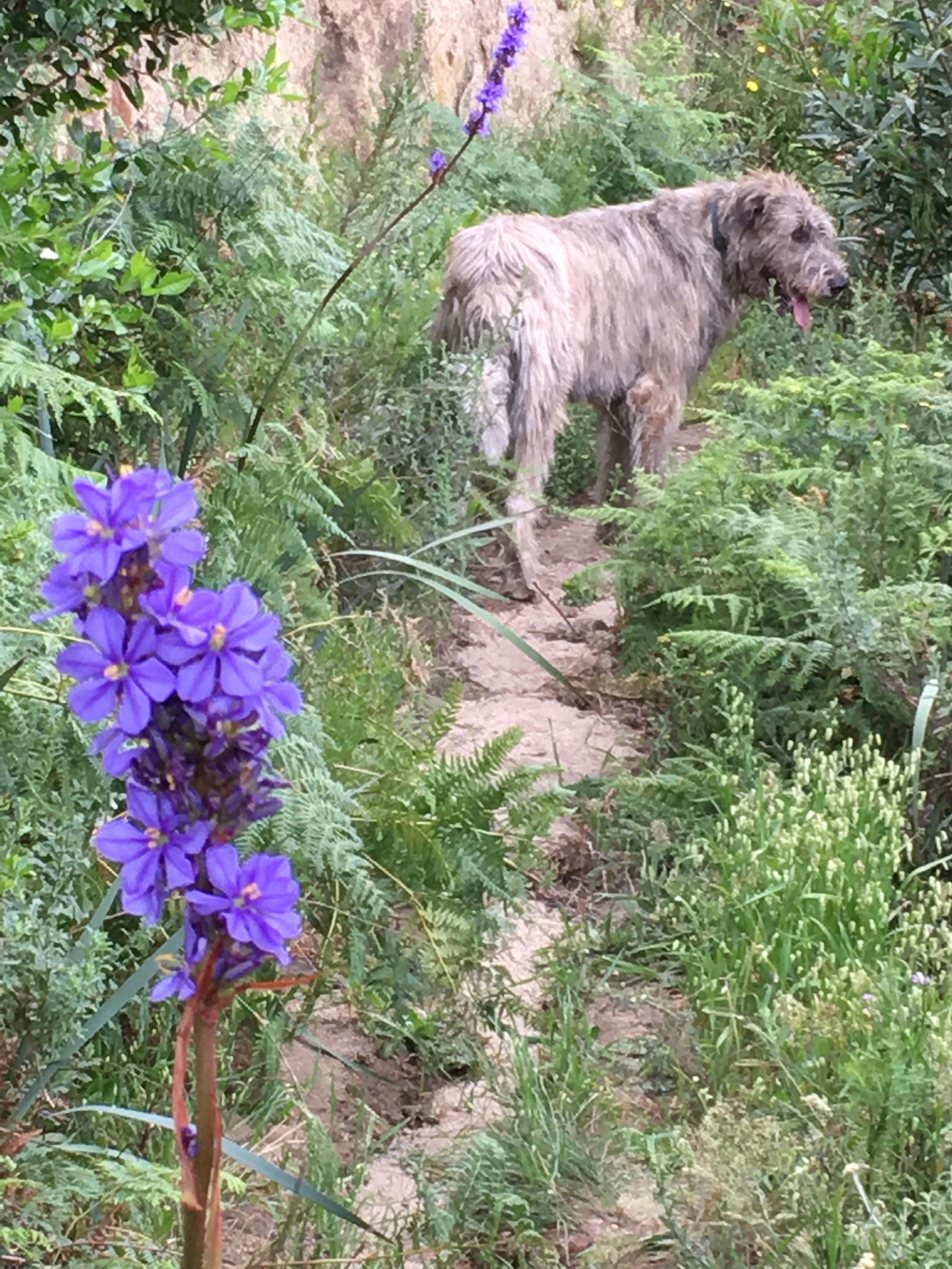 9ff7267b-a425-4266-95e6-052aaa9d8843